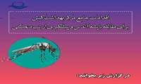 اقدامات جامع مرکز بهداشت کیش برای مقابله با پشه آئدس و پیشگیری از تب دنگی